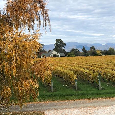 Vineyard Cottage In Blenheim On The Golden Mile Exteriör bild