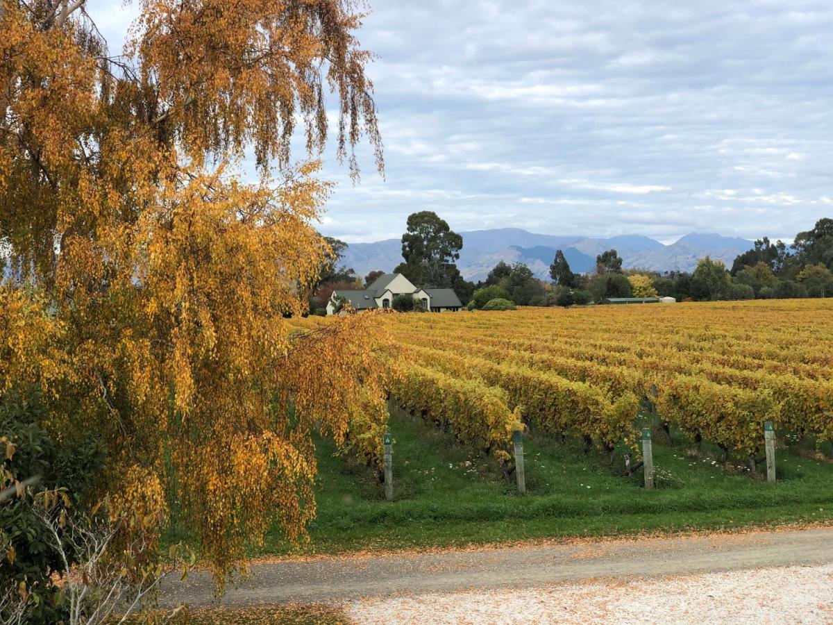 Vineyard Cottage In Blenheim On The Golden Mile Exteriör bild